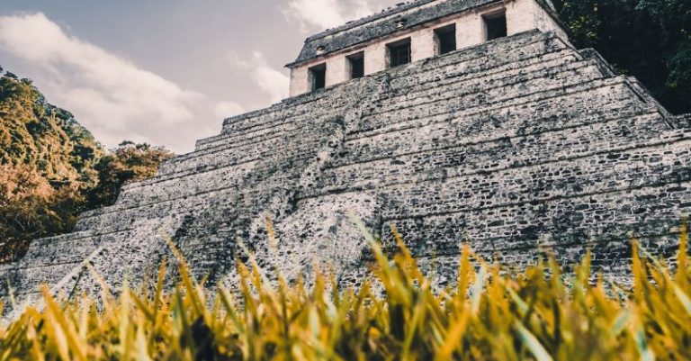 Why Did the Mayan Civilization Collapse?