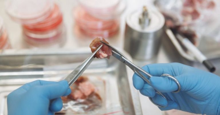 Is Lab-grown Meat the Future of Food?