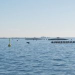 Aquaculture - Buoys o the Sea Bay